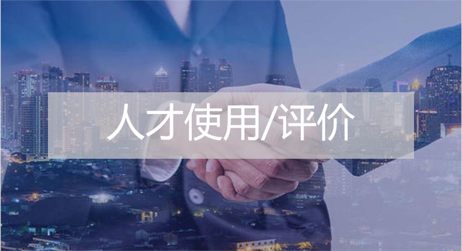 人才使用/評(píng)價(jià)